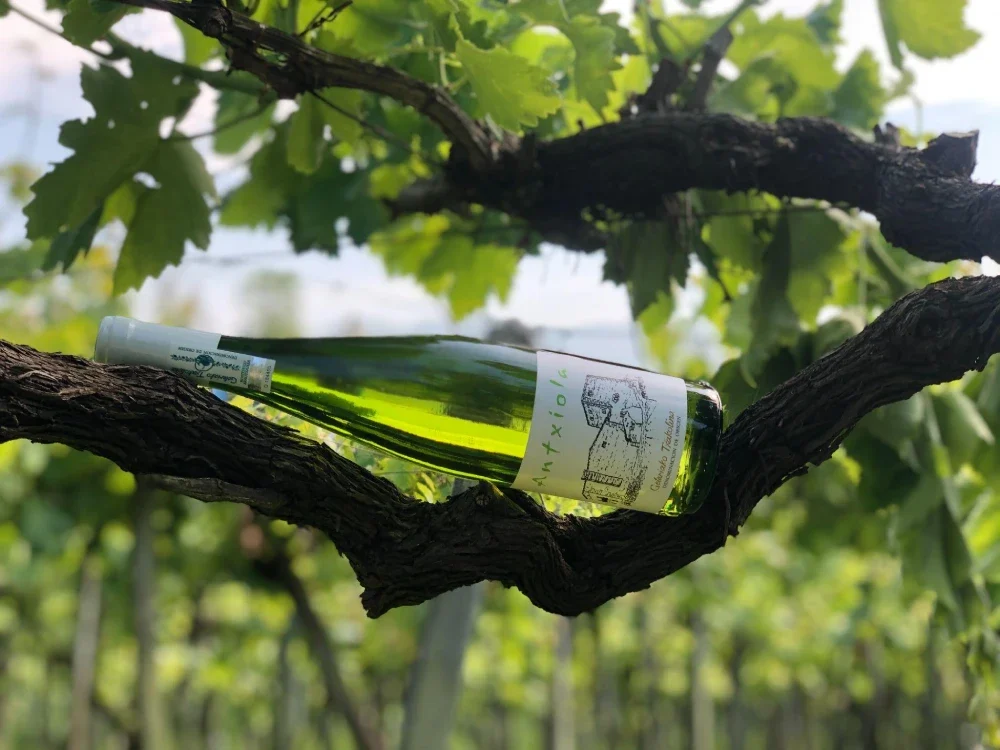 Txakoli blanco Antxiola
